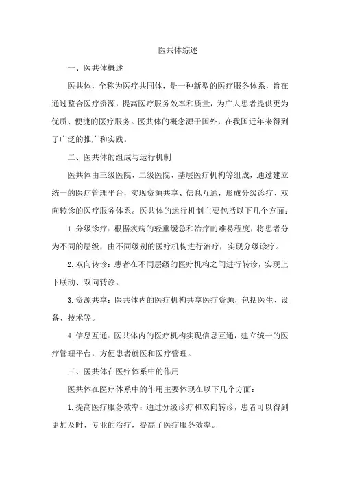 医共体 综述
