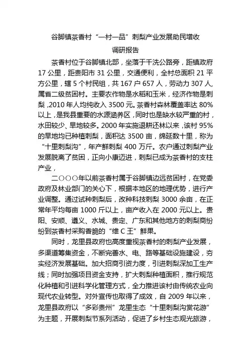 谷脚镇茶香村“一村一品”刺梨产业发展助民增收调研报告