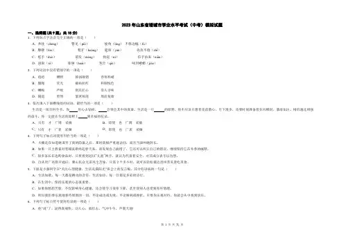2023年山东省诸城市中考一模语文试题