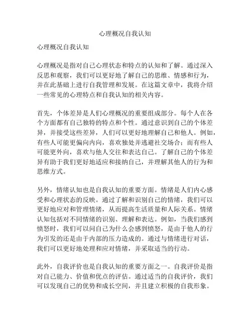 心理概况自我认知