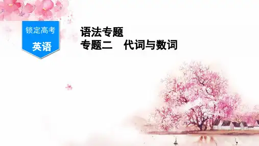 语法专题 专题二 代词与数词(共37张PPT)