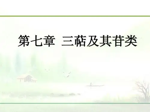 第七章 三萜及其苷类