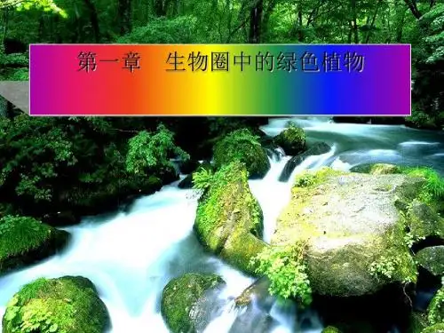 藻类植物PPT课件 人教版