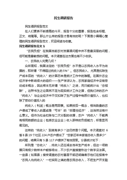 民生调研报告范文