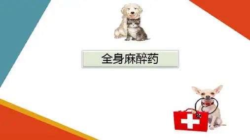 神经系统药物—中枢神经系统药物(动物药理学课件)