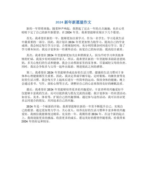 2024新年新愿望作文400字