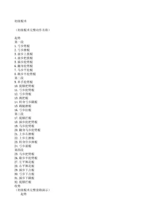 初级棍术图解 真人图示版