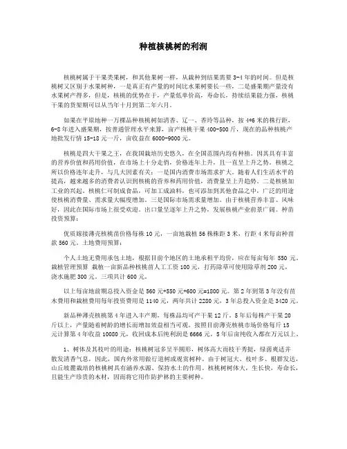 种植核桃树的利润