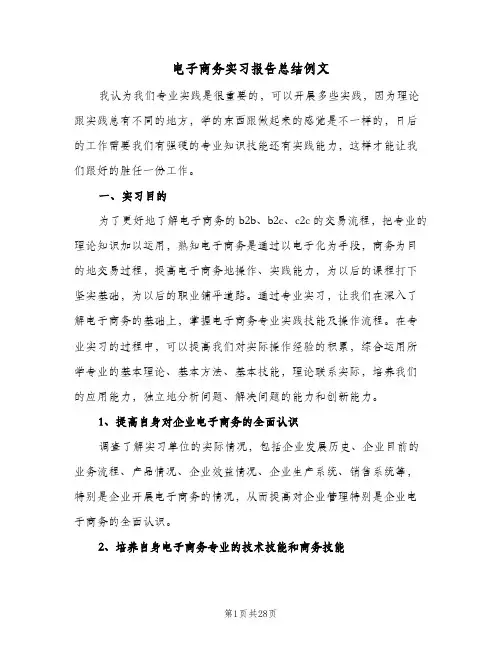 电子商务实习报告总结例文（5篇）