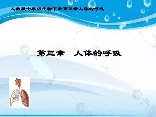 初中七年级下册生物《呼吸道对空气的处理》课件