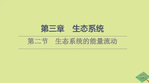 新教材高中生物第3章生态系统第2节生态系统的能量流动课件苏教版选择性必修