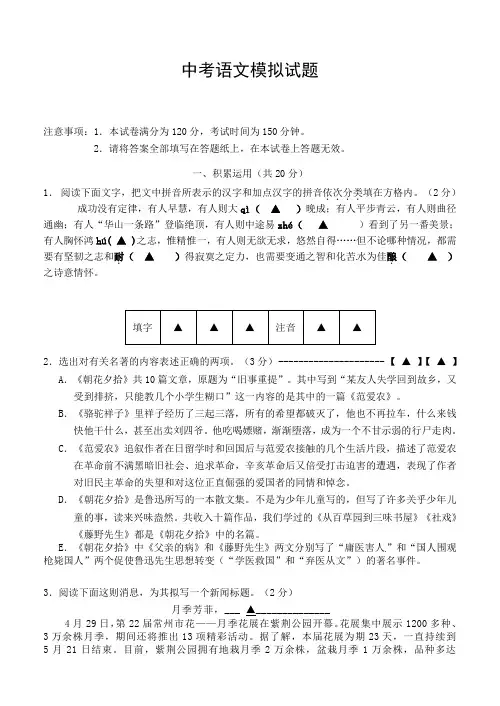 2019年中考语文模拟试题及答案