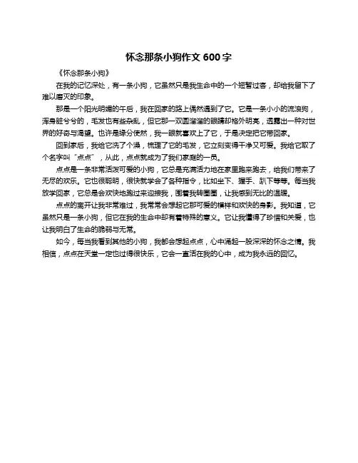 怀念那条小狗作文600字