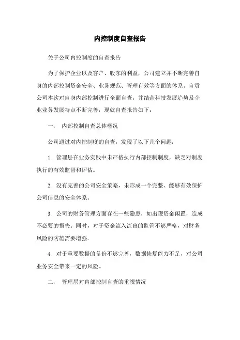 内控制度自查报告