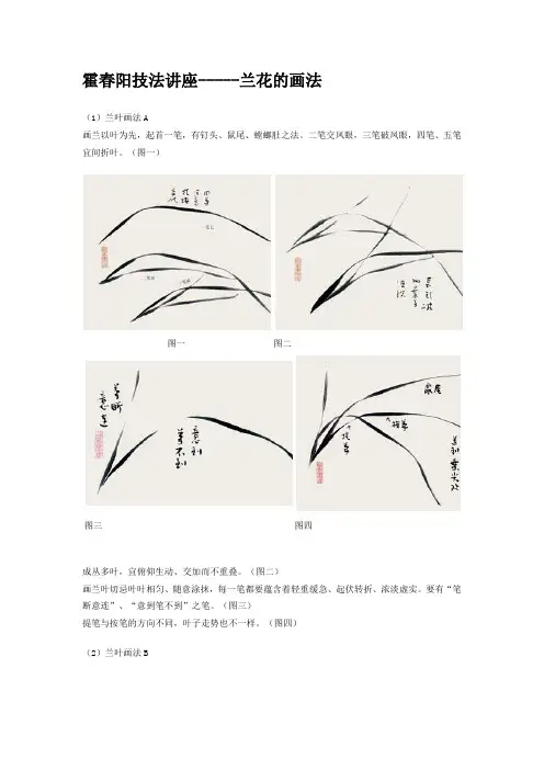 霍春阳技法讲座--兰花的画法
