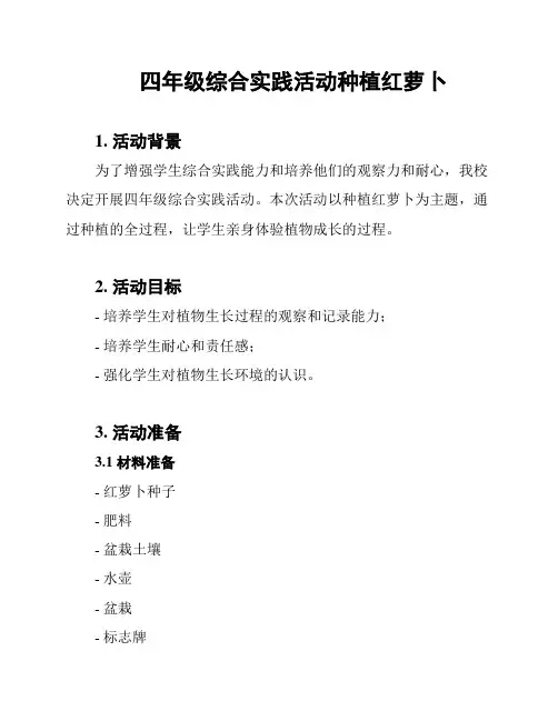 四年级综合实践活动种植红萝卜