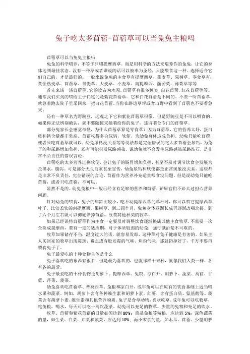 兔子吃太多苜蓿-苜蓿草可以当兔兔主粮吗