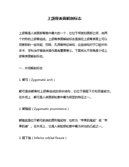 上颌骨表面解剖标志
