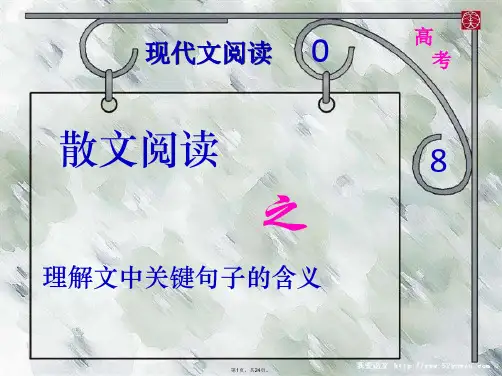 高考复习现代文阅读散文阅读之理解文中关键句子的含义