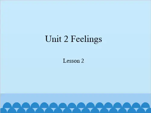五年级上册英语-Unit 2 Lesson 2 Was he happy？鲁科版