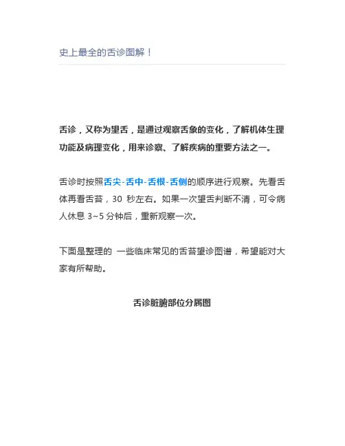 史上最全的舌诊图解!
