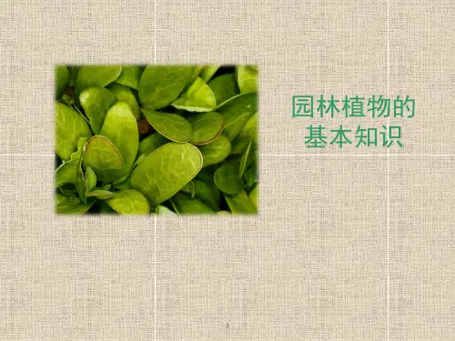 园林植物的基本知识