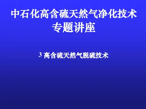 3高含硫天然气脱硫技术-ppt课件