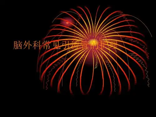 脑外引流管的护理PPT课件