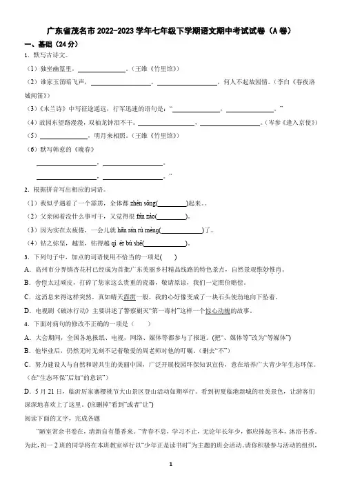 广东省茂名市2022-2023学年七年级下学期语文期中考试试卷(A卷)(含答案)