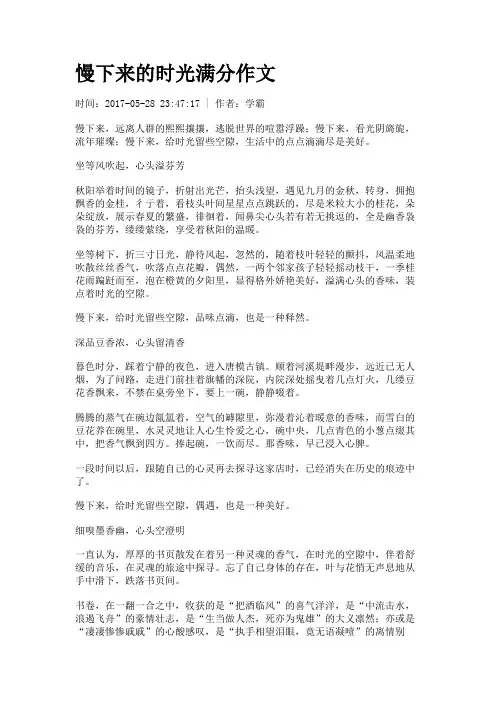 慢下来的时光满分作文