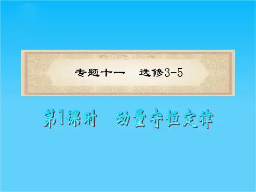 江苏高考物理二轮总复习专题课件专题11 第1课时 动量守恒定律