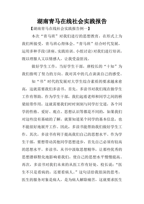 湖南青马在线社会实践报告