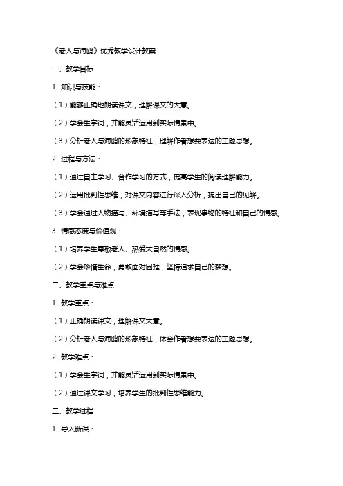 《老人与海鸥》教学设计教案