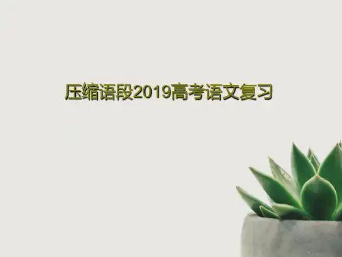 压缩语段2019高考语文复习共52页文档