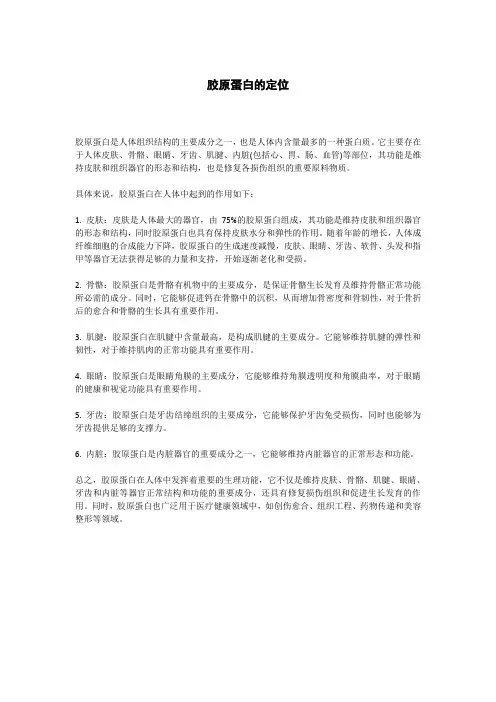 胶原蛋白的定位