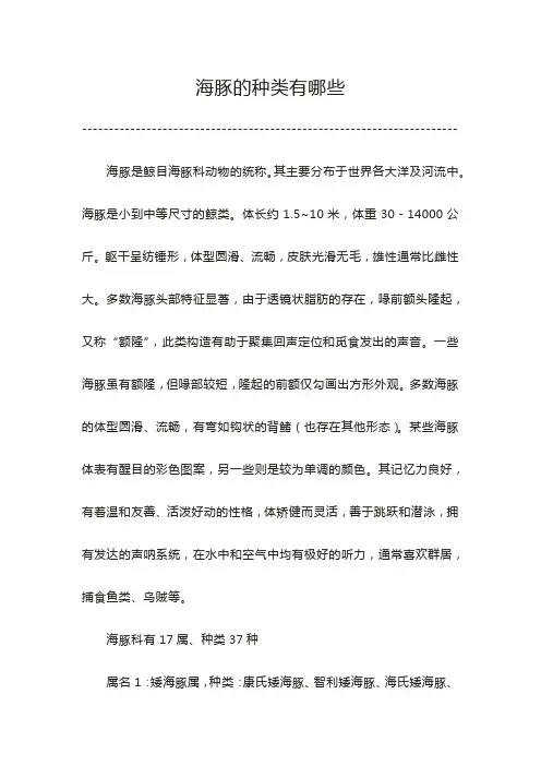 海豚的种类有哪些