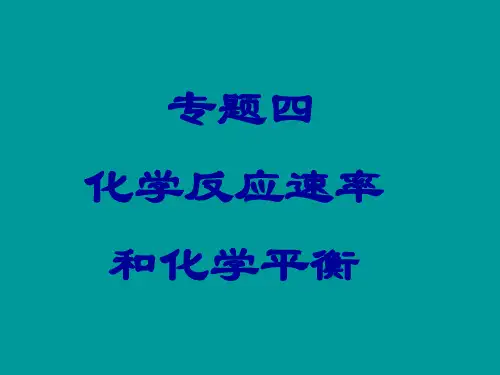 第二轮复习高三化学《专题四 化学反应速率与化学平衡》.ppt