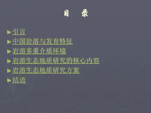 中国岩溶生态地质研究