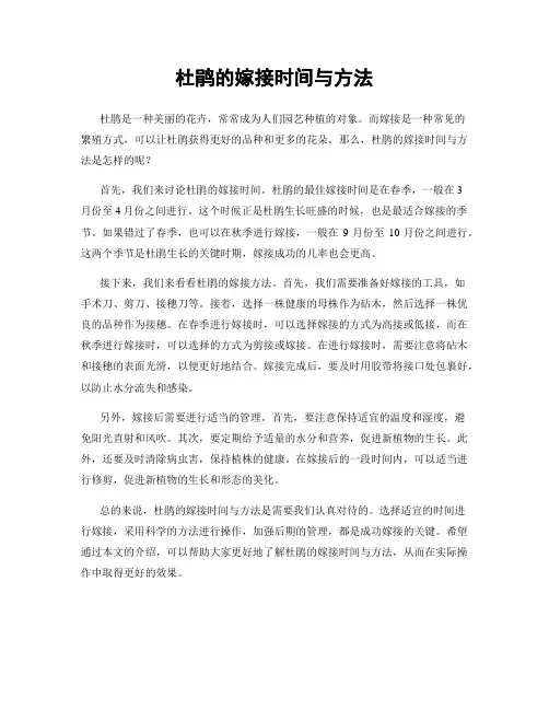 杜鹃的嫁接时间与方法