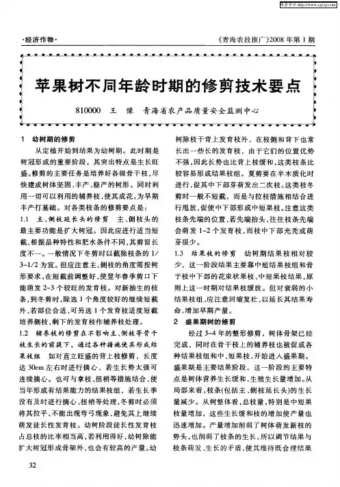 苹果树不同年龄时期的修剪技术要点