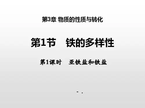 《铁的多样性》物质的性质与转化PPT课件(第1课时亚铁盐和铁盐)