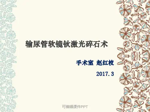 输尿管软镜钬激光碎石术ppt课件