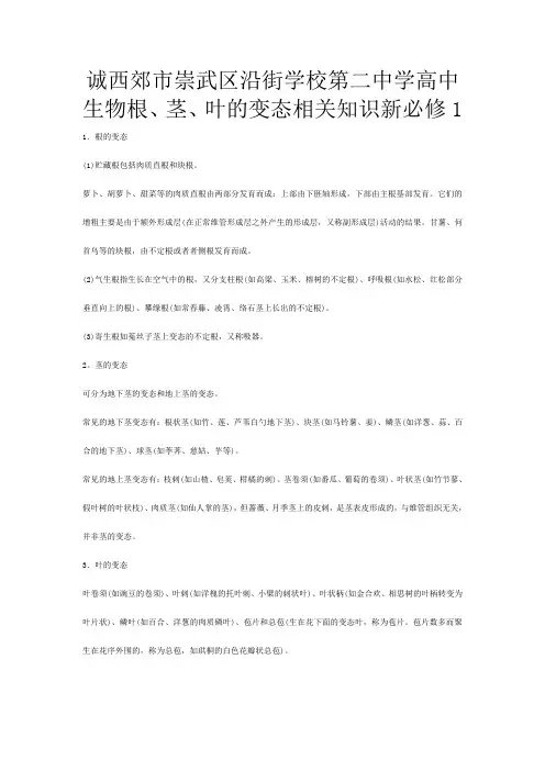 第二高中生物《根茎叶的变态》相关知识