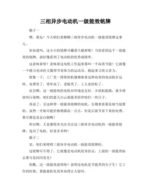 三相异步电动机一级能效铭牌