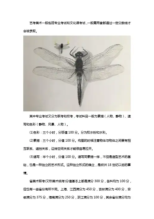 学美术的艺术生高考考哪些科目