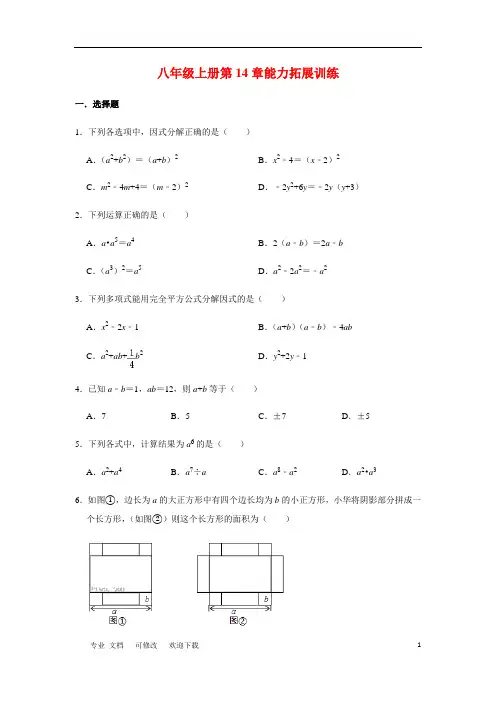 人教版数学八年级上册《整式的乘法与因式的分解》 能力拓展训练
