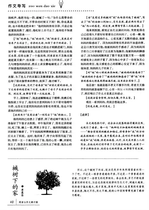 槭树下的家
