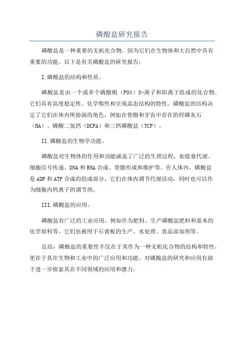 磷酸盐研究报告