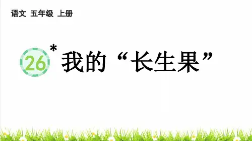 人教版五年级语文上册第八单元第26课《我的“长生果”》上课课件