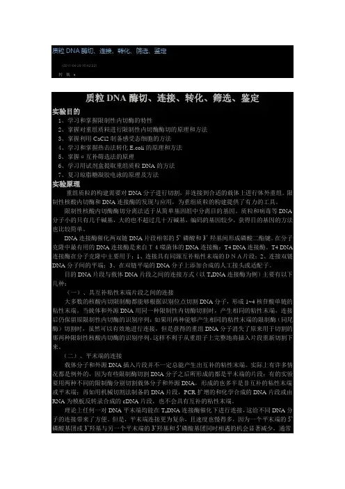 质粒的酶切、连接、与转化